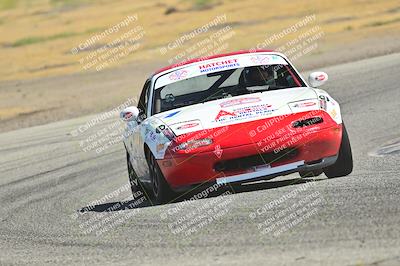media/May-24-2025-Turn8 Trackdays (Sat) [[034586b55d]]/1 Advanced 2/Session 2 (Cotton Corners-Grapevine)/